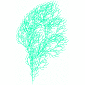 jms/lsystems1/tree1.1