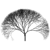 vp/fractales/arbres.7
